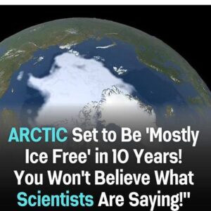 Scientists Warn: Arctic Ice on the Brink of Significant Decline