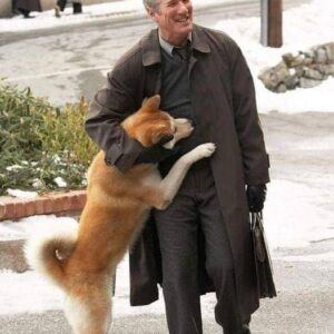 Rare Photos Of Hachiko Patiently Waiting For His Owner Have Surfaced And It’s Heartbreaking To See