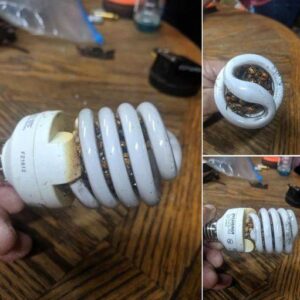 Man Warns Others After Startling Light Bulb Discovery